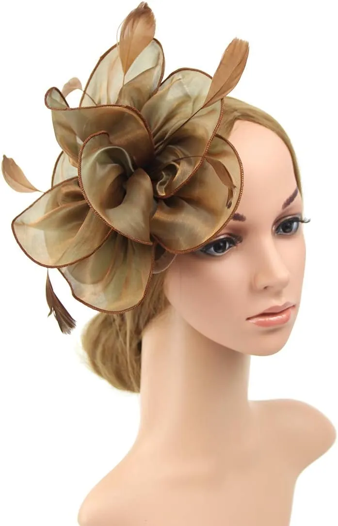 DRESHOW Fascinators Hat Tea Party Headwear Ribbons Feathers on a Headband and a Clip for Girls and Women