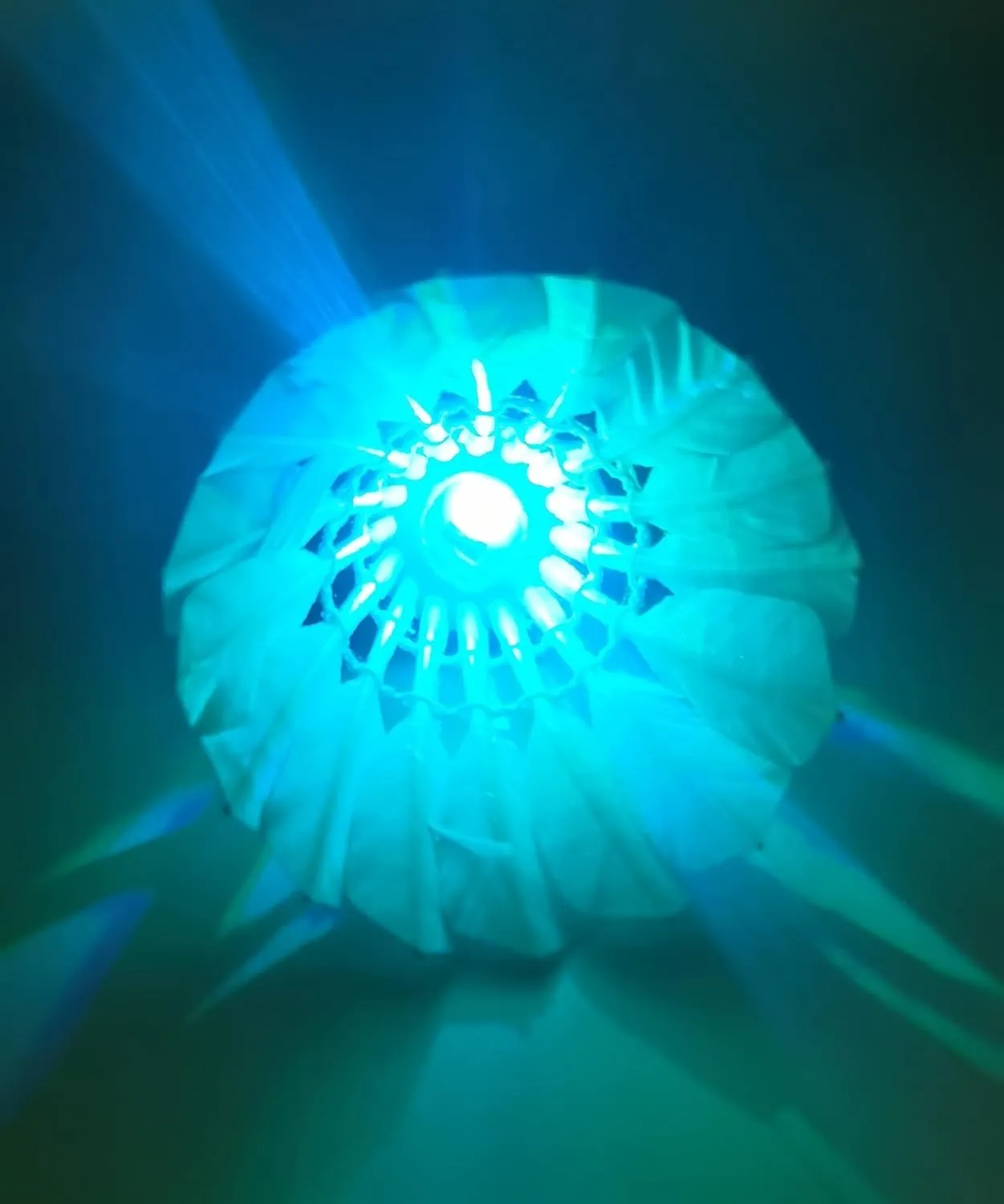 LED Badminton Birdies, LED Colourful Shuttlecock Dark Night Goose Feather Glow Birdies Lighting Outdoor Indoor Sport Activities